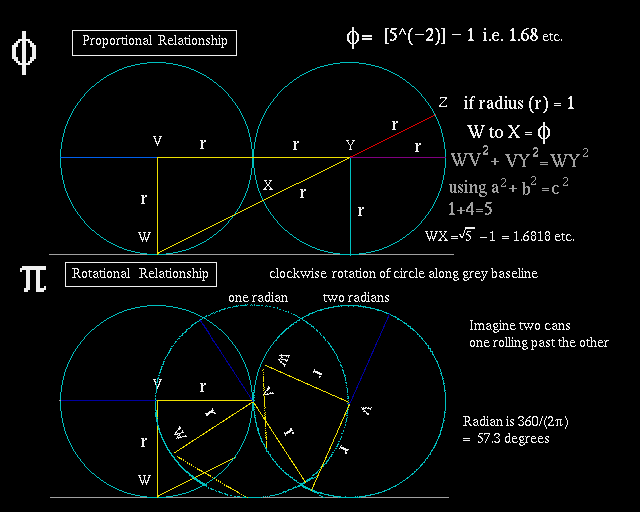 Comparison of proportional and rotational logic